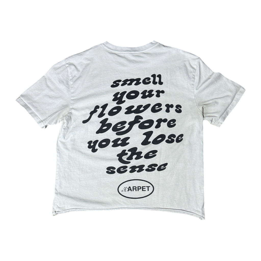 "big smile" cropped tee